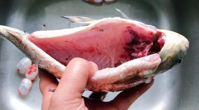 肚皮内壁黑色的膜一定要清除干净，不然会很腥