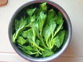 盆里浸泡洗净