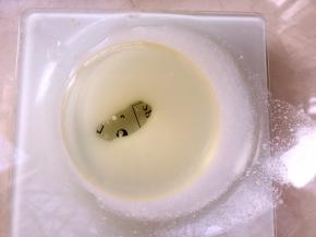 先做红色爱心蛋糕片，玉米油加牛奶搅拌至乳化状态