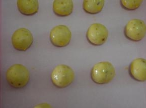 取23g一个滚圆，有间隔地排放至烤盘上，表面擦上一层蛋液