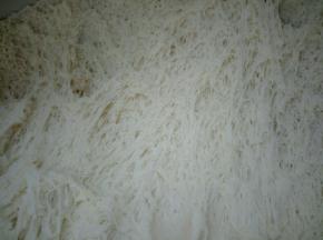 发酵好的面团用手拨开，满满的蜂窝组织