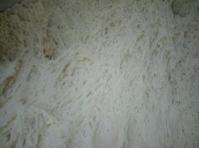 发酵好的面团用手拨开，满满的蜂窝组织