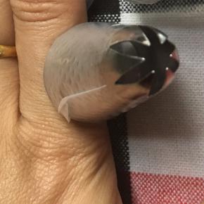 我用这个2D6齿的裱花嘴（不要看手，太丑了……）