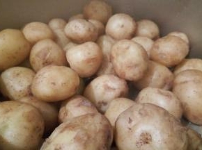 蒸好的土豆凉一下，太烫，剥皮不方便