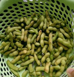 全部摘下来清洗干净。