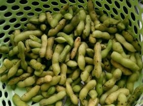 全部摘下来清洗干净。