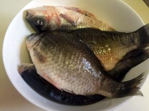 鲫鱼去鳞去腮去内脏洗净