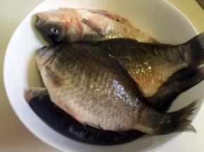 鲫鱼去鳞去腮去内脏洗净