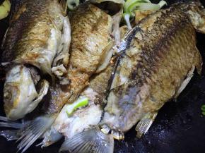 放入煎好的鲫鱼