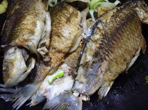 放入煎好的鲫鱼