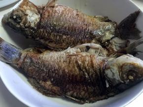 鲫鱼用油煎至两面金黄后取出