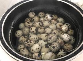 鹌鹑蛋洗干净后，加水煮熟