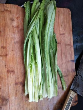 油麦菜清洗干净