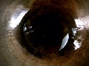 净锅置火上，加入少许食用油