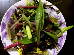 菜苔择干净，掐段，洗净沥水