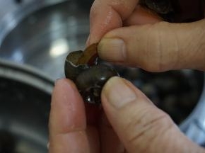 去掉那块辱（小盖子）