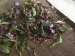 紫苏摘洗干净，切碎