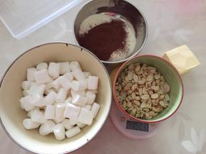 先准备好材料，这是可可味的，可可粉和全脂奶粉搅拌均匀，花生入烤箱160度烤8分钟，搓去外皮