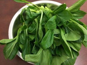 准备菜心摘掉老叶和坏叶