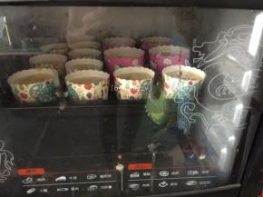 送入预热好的烤箱中层，约165度，上下火，35分钟烘烤（温度与时间只作参考）
