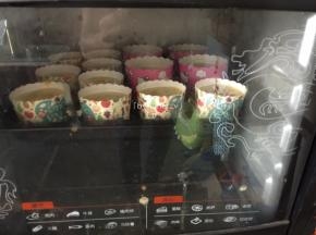 送入预热好的烤箱中层，约165度，上下火，35分钟烘烤（温度与时间只作参考）
