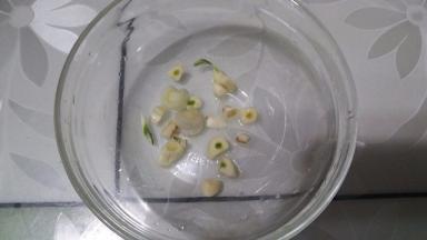 碗里加入蒜片，和上述调料除蜂蜜外，调成叉烧汁