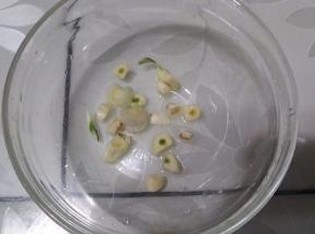 碗里加入蒜片，和上述调料除蜂蜜外，调成叉烧汁
