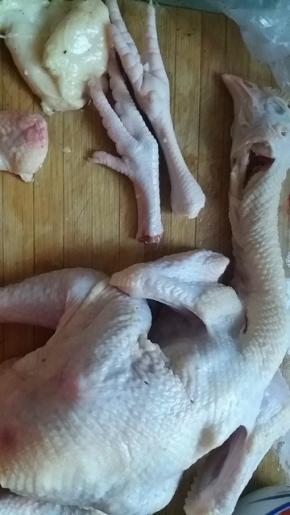 将三黄鸡血水洗净