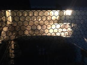 仔细观察，这面包容易上色，着色后加盖锡纸