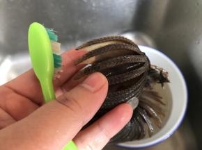 可以用干净的牙刷来清洁各片鱼腮之间缝隙里的杂质和沙子