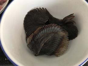 刷完后清水冲洗几遍至干净