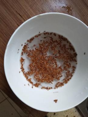 干桂花用开水烫一下