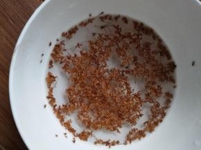 干桂花用开水烫一下