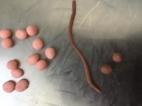 搓成小球状和长条