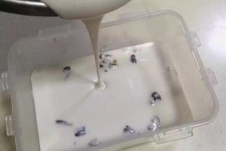 把搅拌好的糯米糊倒入保鲜盒内。