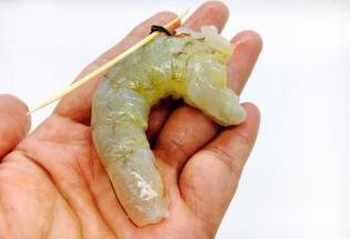 鲜虾去皮，挑出虾线。