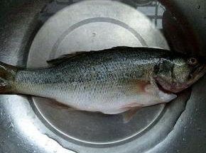 首先将鱼清理内脏，鱼鳃，洗干净。