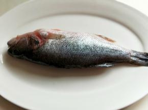 洗干净的鱼用厨房用纸擦干。