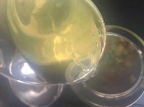 把焖烧杯里的热水倒掉，放入所有食材，放适量盐，倒入刚才竹叶煮的沸水，合上盖子焖3个小时