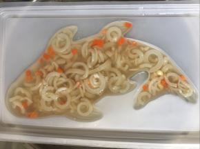 在模具中凉透成冻就可以脱模啦