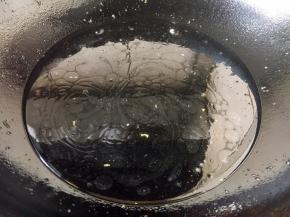 锅里放入2汤勺的水。