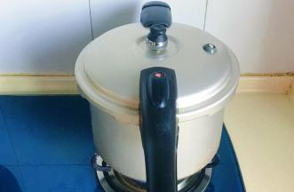 加盖大火煮开，上汽后再煮十分钟左右