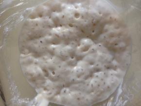 发酵到充满泡泡的状态