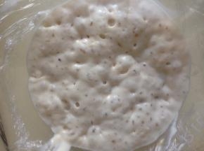 发酵到充满泡泡的状态