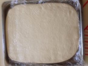 擀成薄片 长度大约是片状黄油的两倍大 宽度比片状黄油略宽 包好保鲜膜放入冰箱冷冻