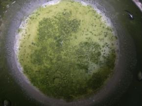 牛奶加热后加入玄米抹茶粉，用刮刀压拌至抹茶粉完全溶解。