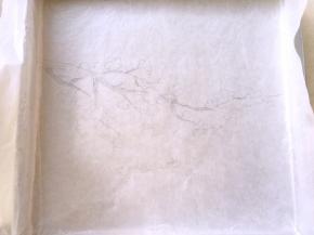 先在油纸哑光面用铅笔画出腊梅花的图案，之后哑光面朝下铺在烤盘内，腊梅图案要在烤盘中央位置，我用的28乘28的方盘