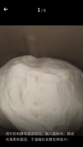 将酵母牛奶混合均匀，与面粉搅拌均匀揉成光滑面团，放温暖处发酵至两倍大。