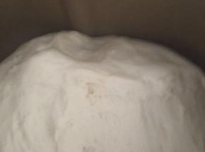 将酵母牛奶混合均匀，与面粉搅拌均匀揉成光滑面团，放温暖处发酵至两倍大。