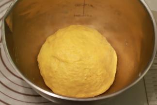 中种的所有材料放入盆内，揉至无干粉，表面粗糙即可